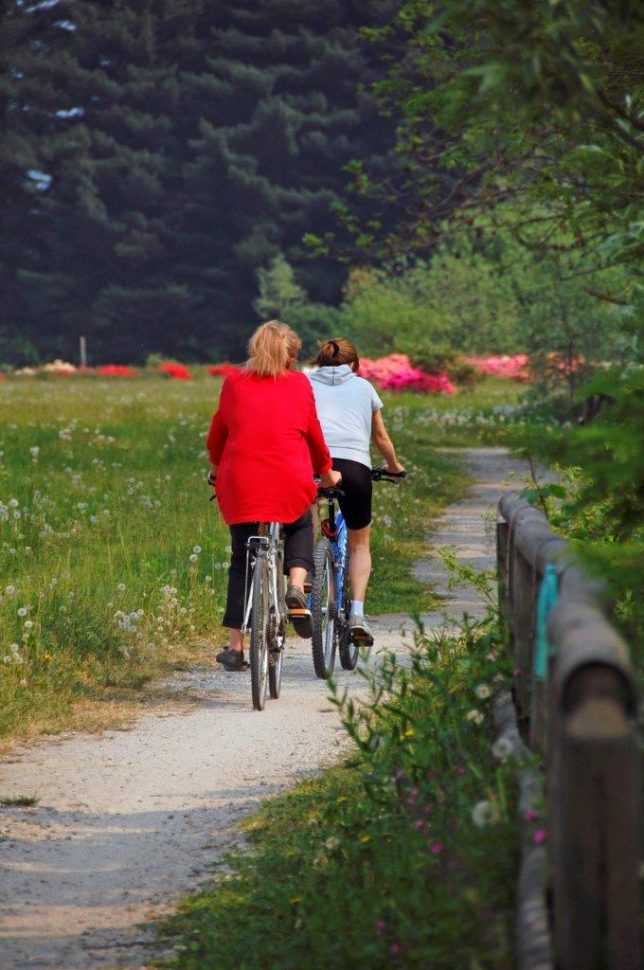 giro del lago in bicicletta.da verbania